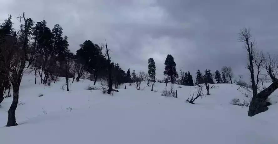 why aancha top trek what makes it stand out