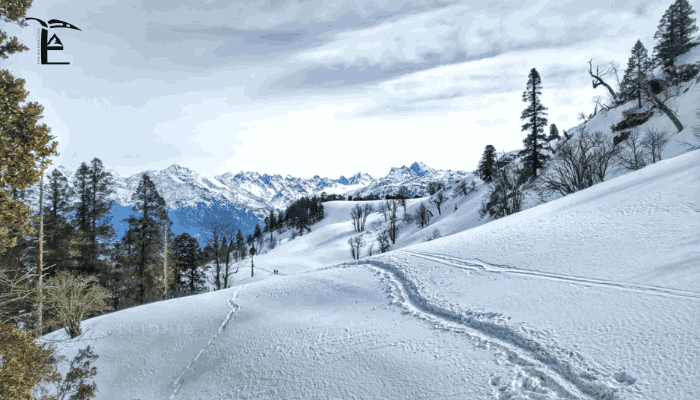 Brahmatal Trek Frozen Beauty of Uttarakhand Himalayas