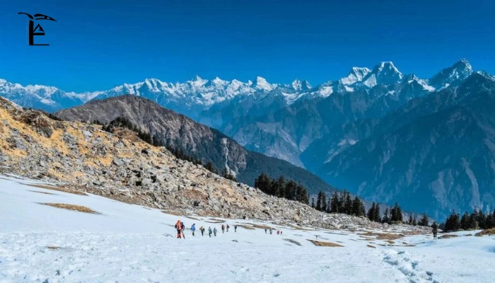 Best Winter Treks in India Dayara Bugyal vs Brahmatal Lake vs Patalsu Peak vs Kedarkantha