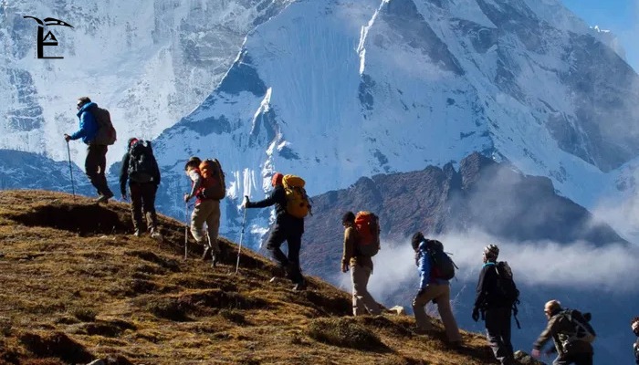 Patalsu Peak Winter Trek A Perfect Himalayan Adventure