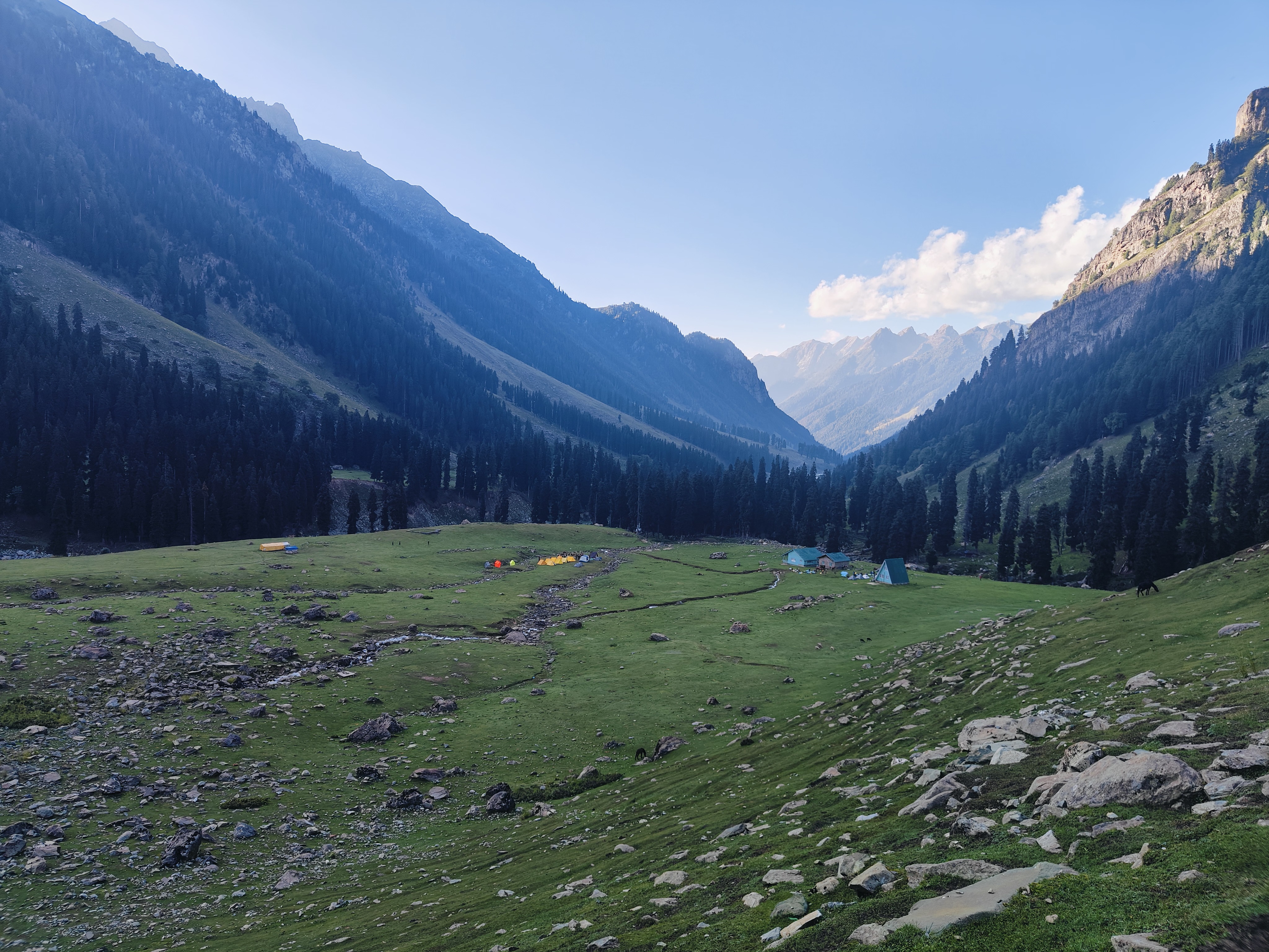 Nafran Valley Trek Himalayan Views ThinAirExpedition