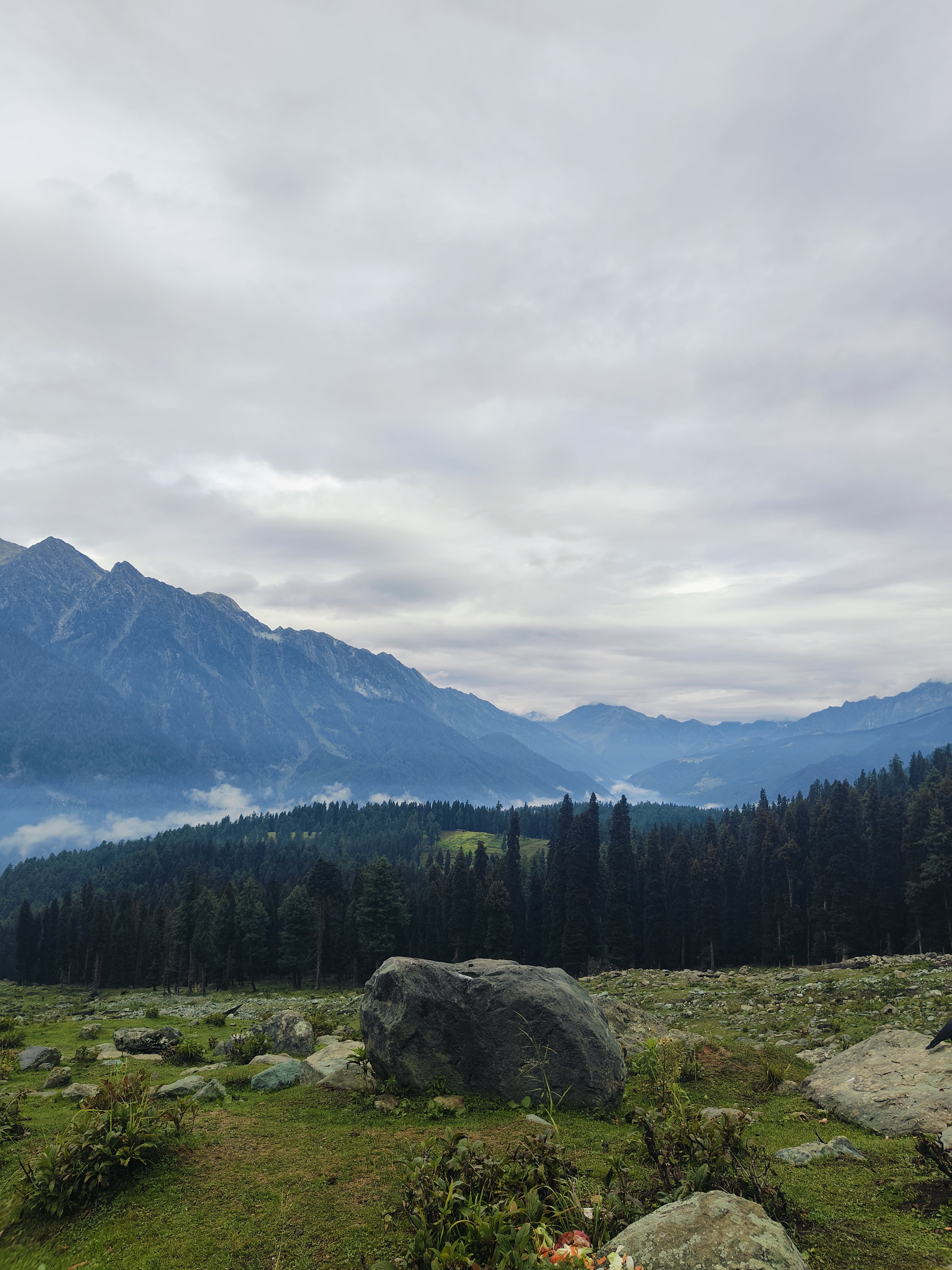 Trekking and My Experience on the Tulian Lake Trek with ThinAirExpedition