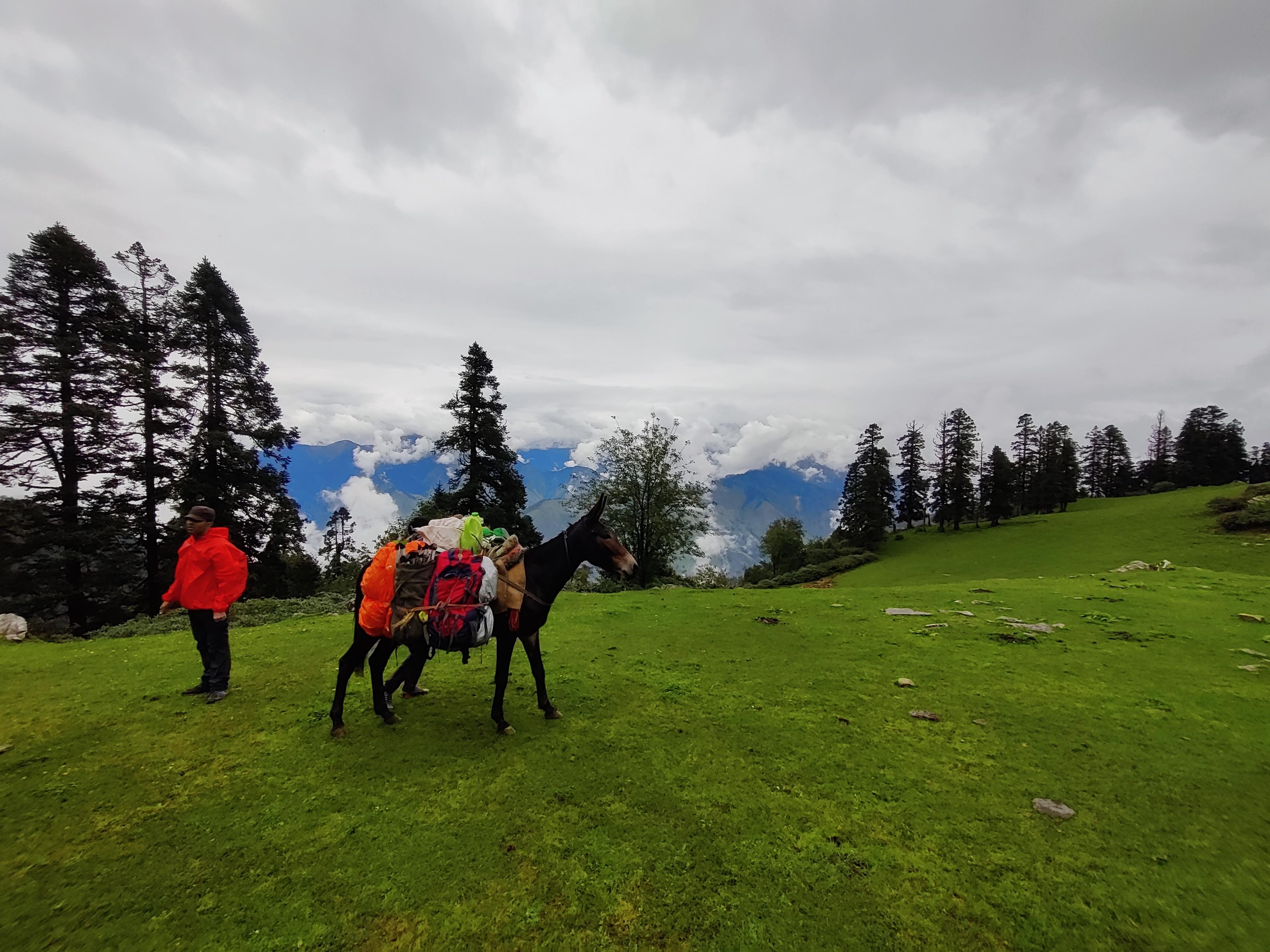 phulara ridge trek