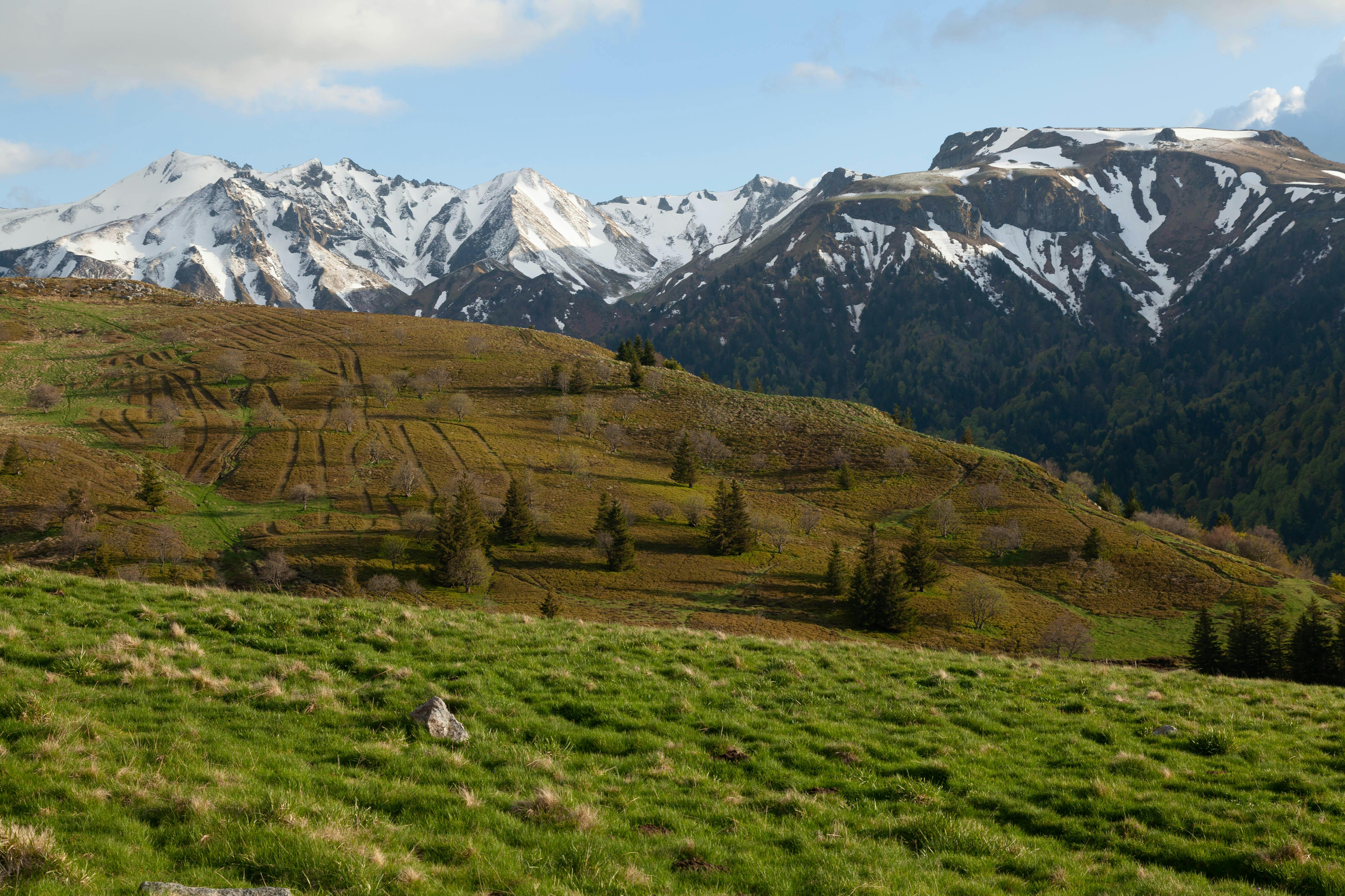 Massif