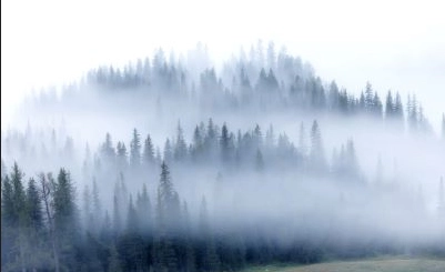 Mist