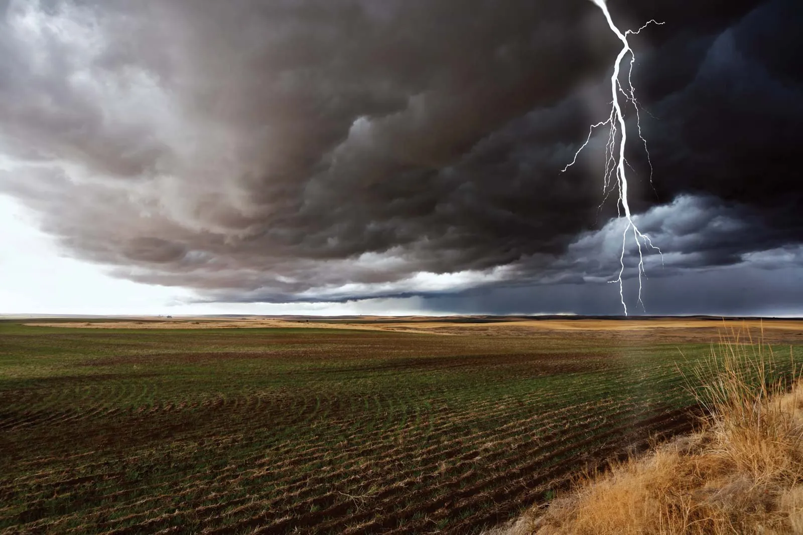 Lightning & Thunderstorms
