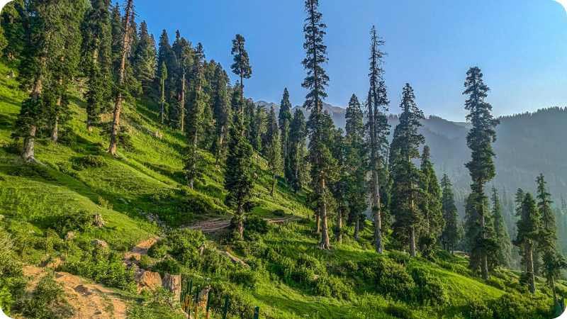 Discover pir panjal