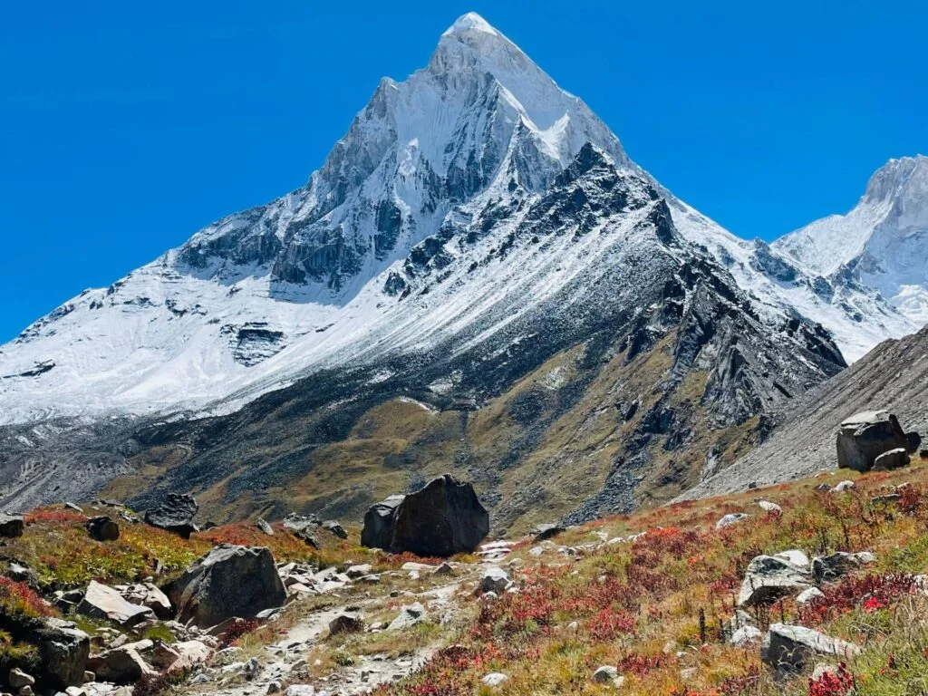 gaumukh tapovan trek