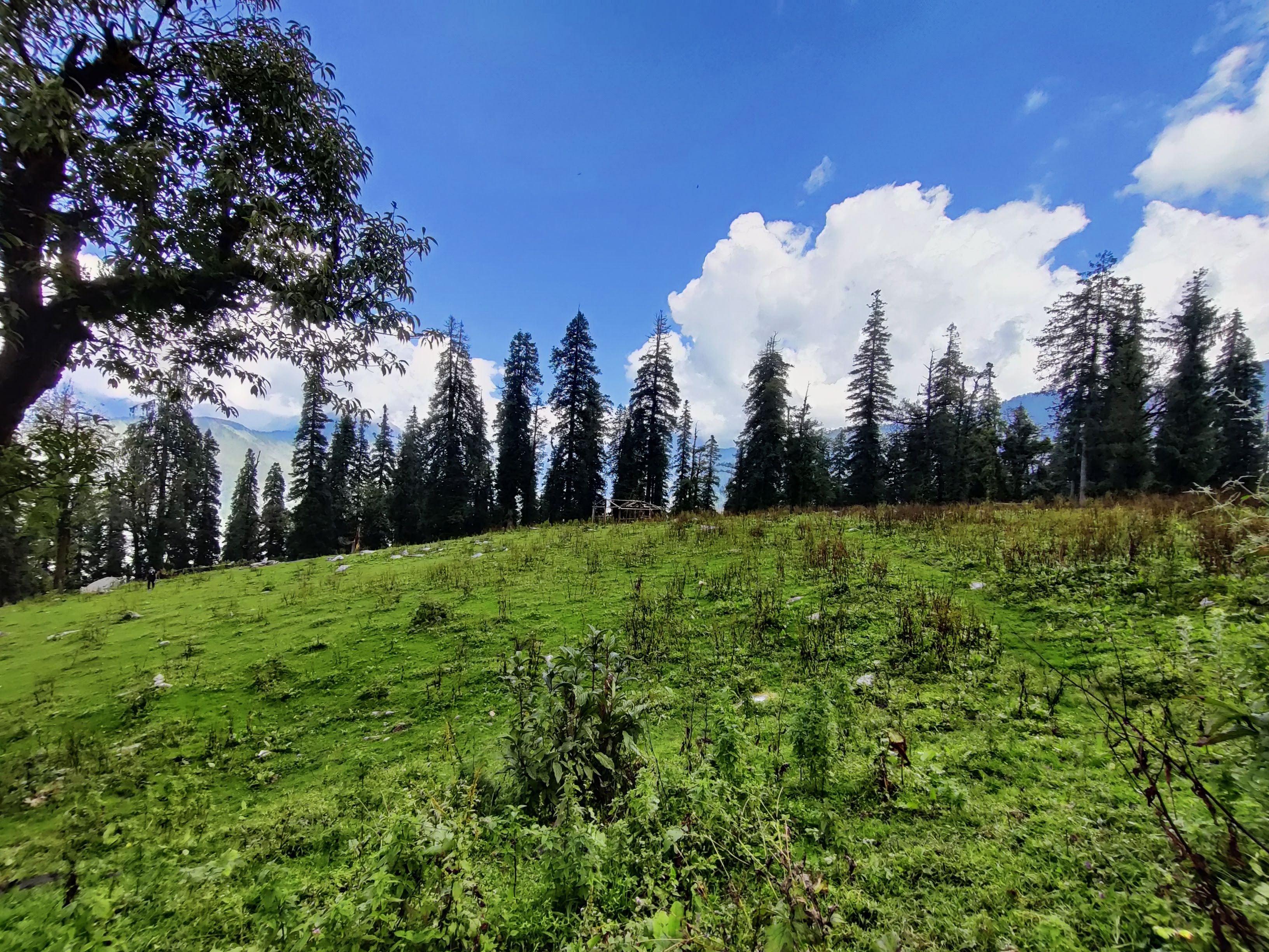 phulara ridge trek