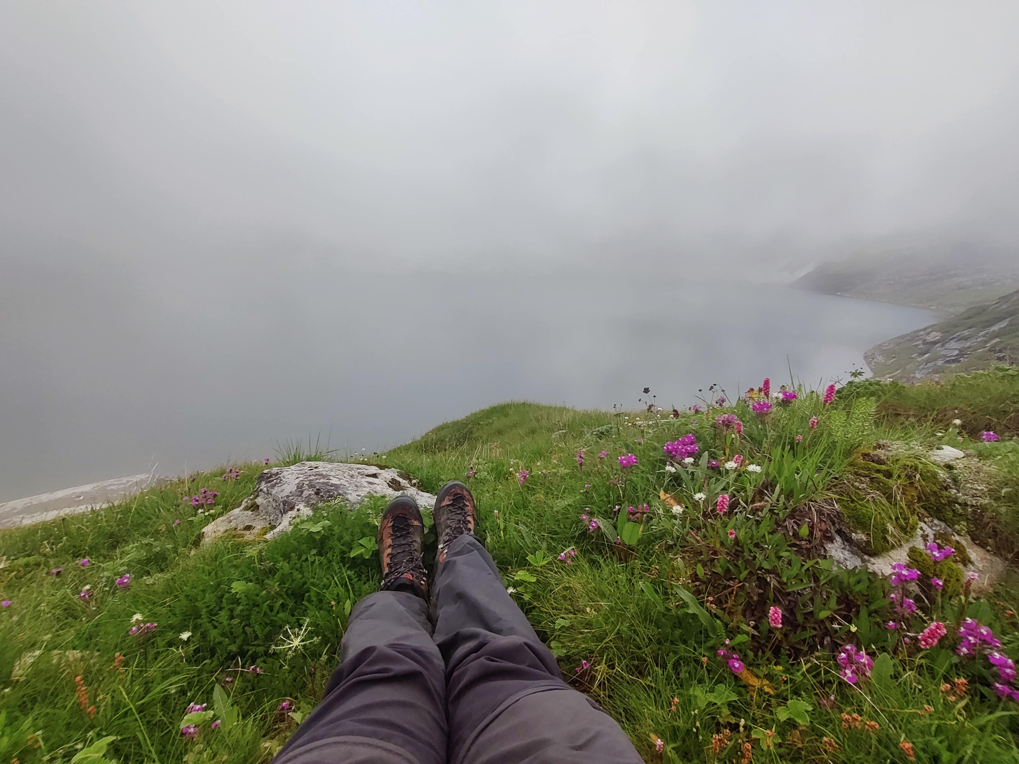 Valley of Flowers The Trek That Does not Ask You to Be Fit for Adventure