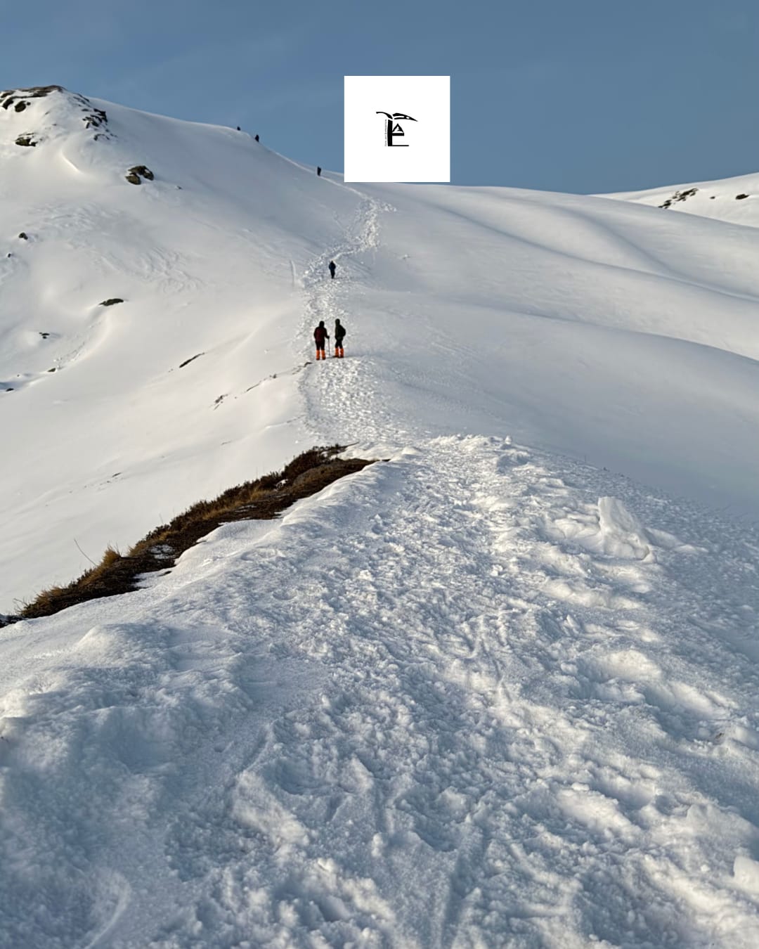 Pangarchulla Peak Trek The Complete Guide