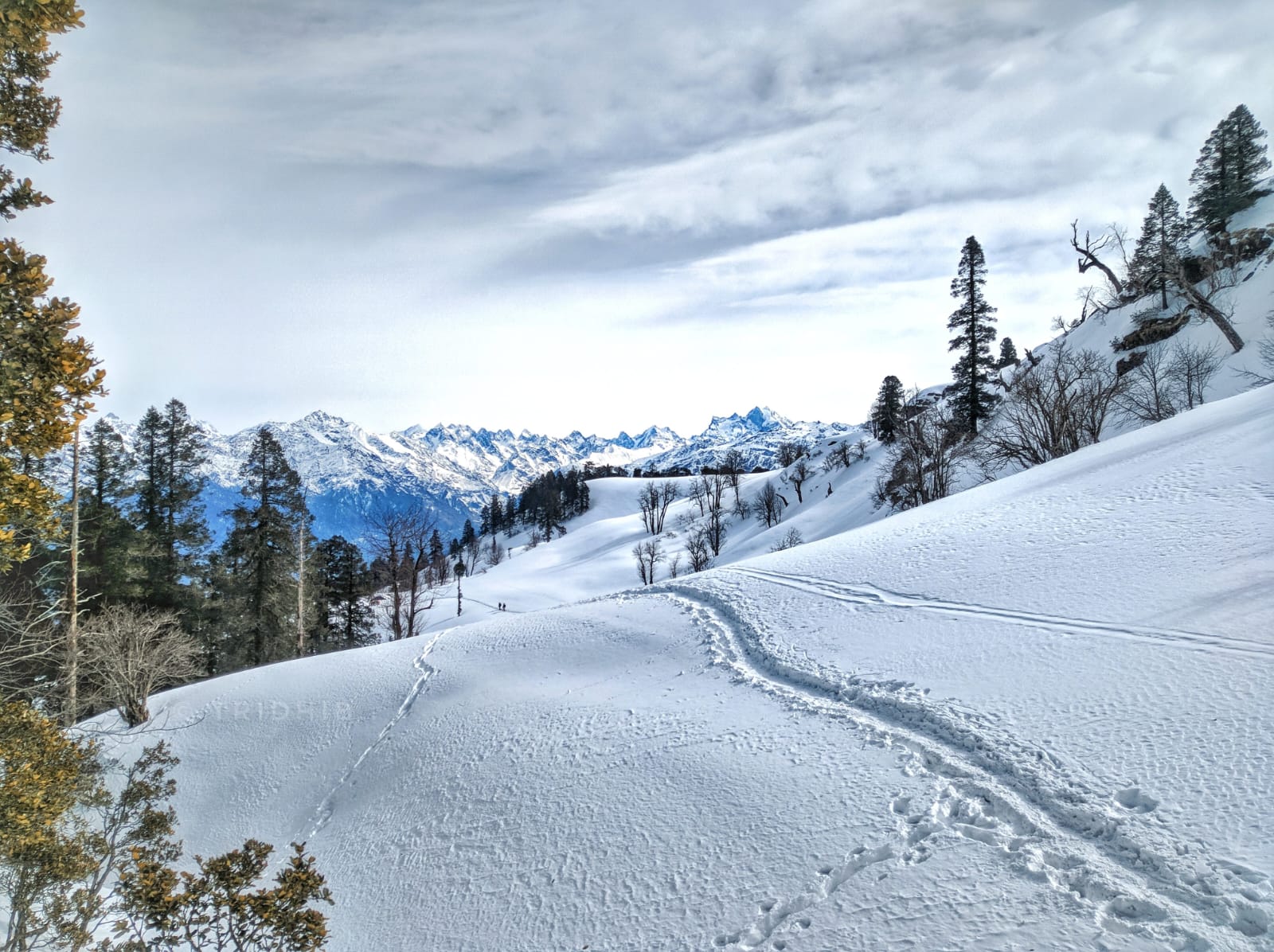 kedarkantha trek