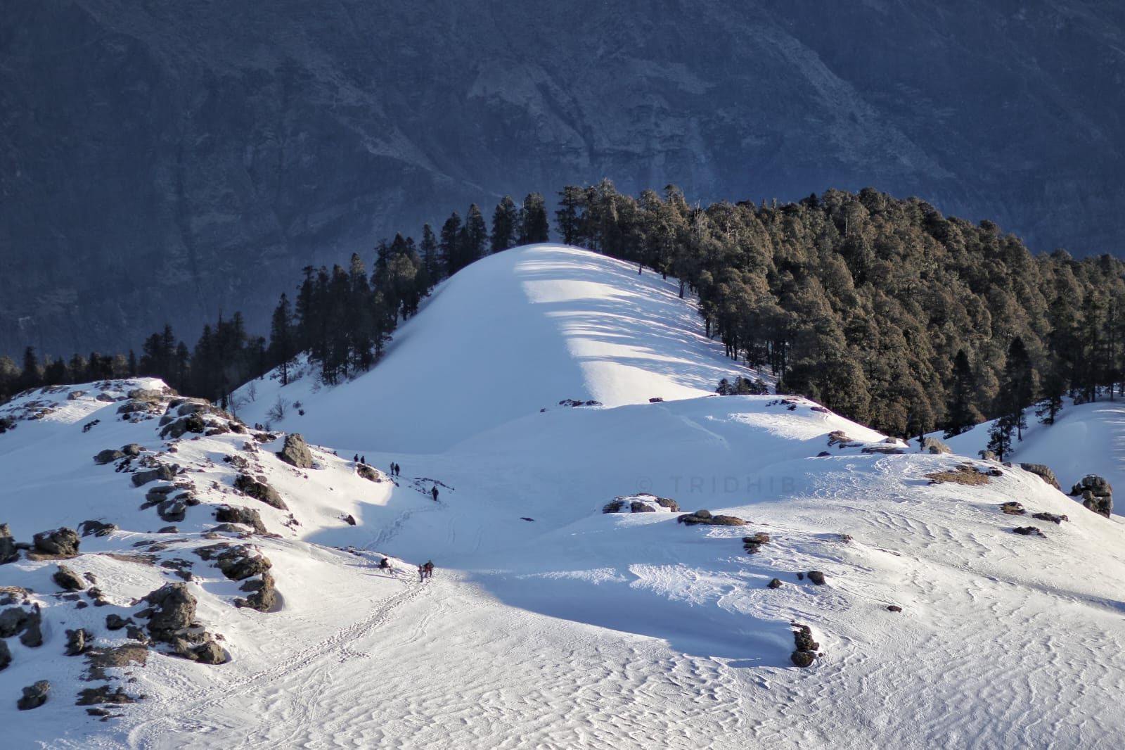 kedarkantha trek