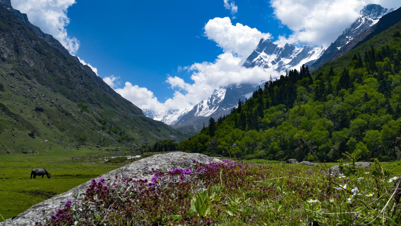 Explore Dehradun with Mussoorie
