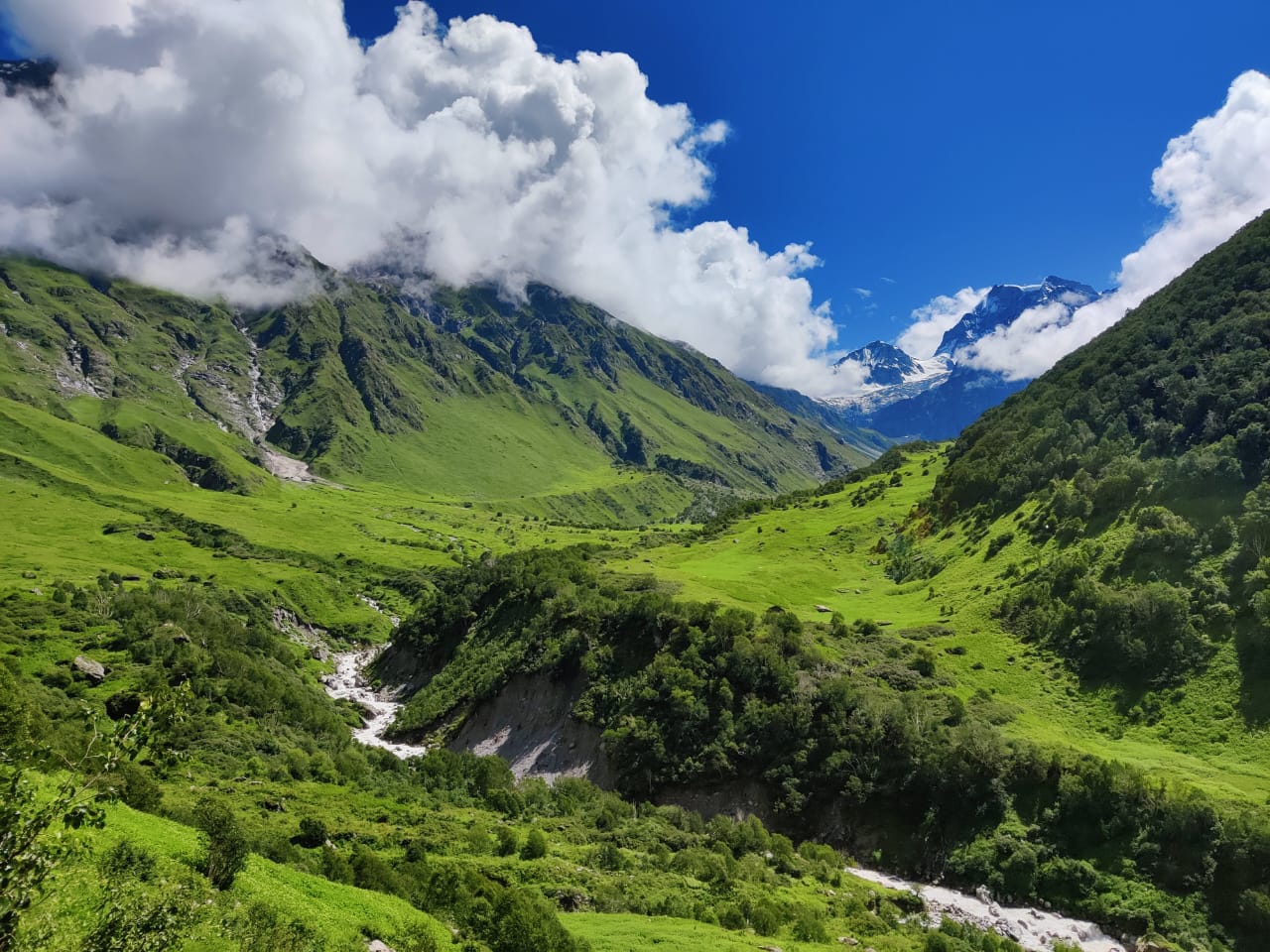 Valley of Flowers Trek Route Itinerary Best Time and Cost