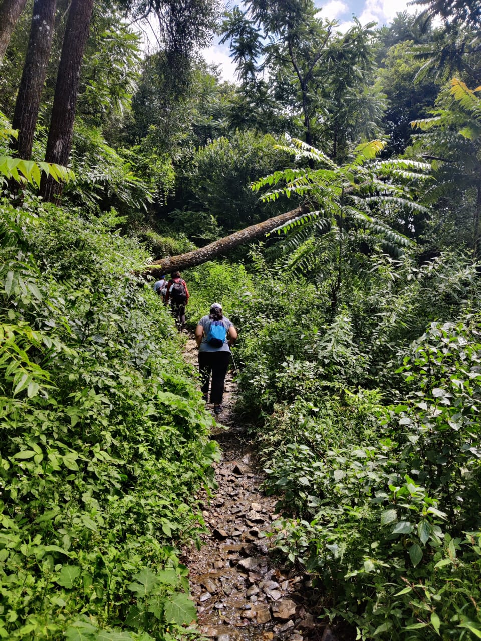 nag tibba trek
